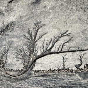 Sands of Time | Limited Edition | Patrick Donald