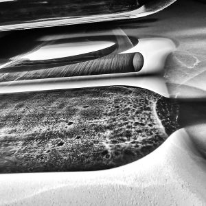 Bottled Light | Limited Edition | Patrick Donald