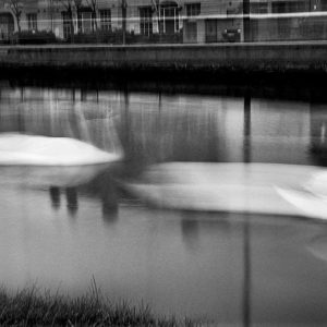 Time Lapse Study | Limited Edition | Patrick Donald