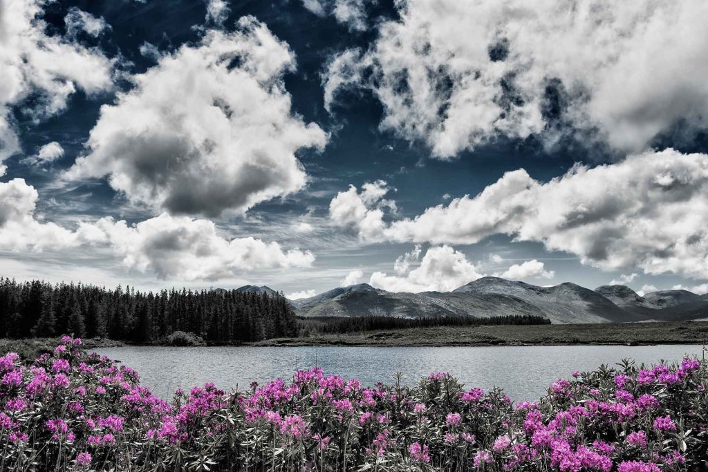 Beautiful Photography surrounds us if we care to look.