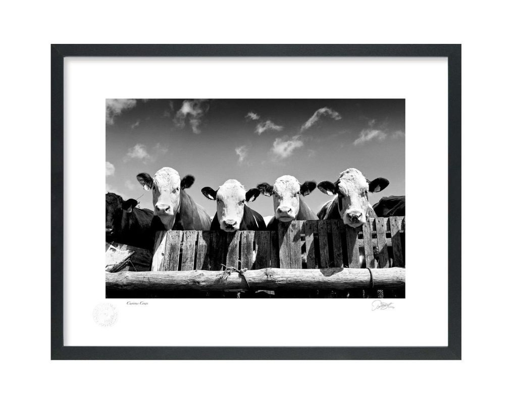 Black And White Photography - Patrick Donald