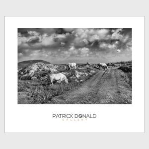 Connemara Dreaming | Poster | Patrick Donald