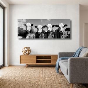 Curious Cows | Acrylic Finish | Patrick Donald Curious Cows | Acrylic Finish | Patrick Donald