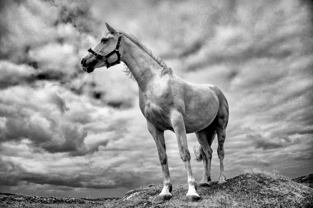 Emotionally Driven Content – ‘Beware’