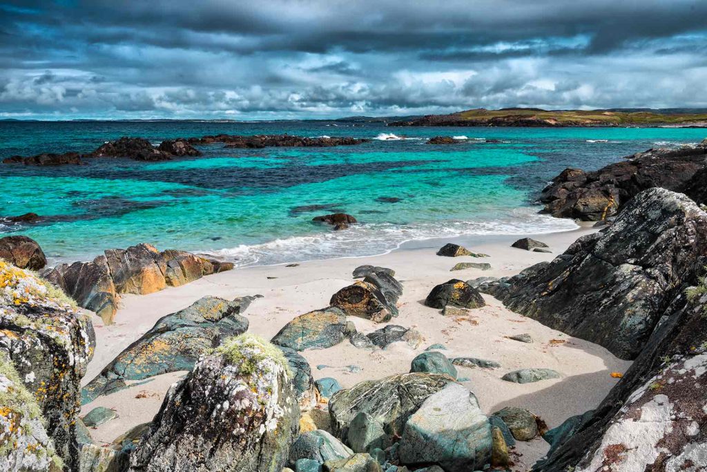 For The Love of Photography