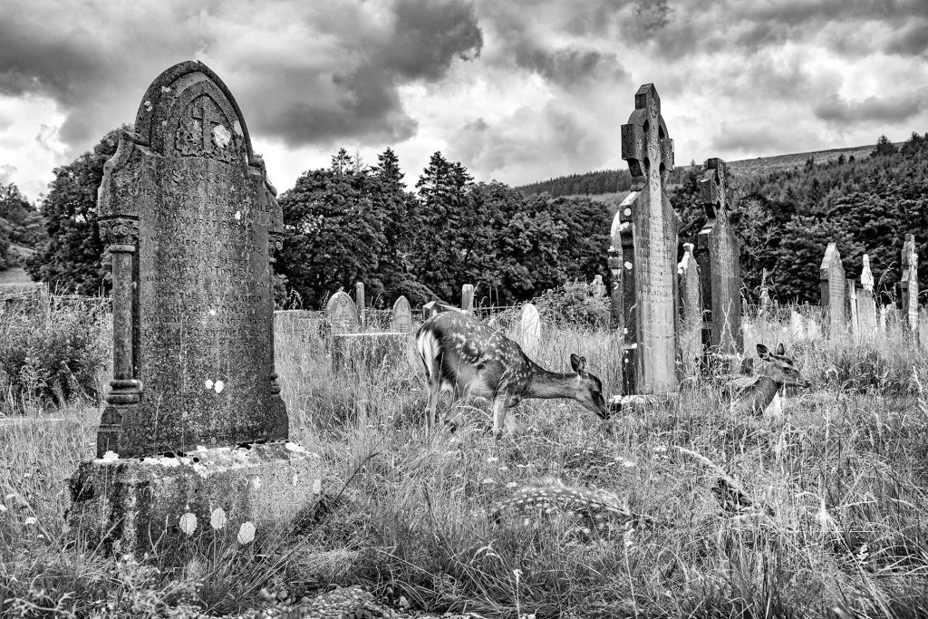 Photography of Glendalough in Wicklow