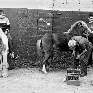 Smithfield Horse Fair #1 | Limited Edition | Patrick Donald