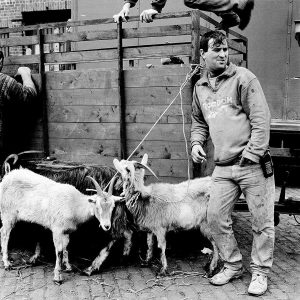 Smithfield Horse Fair #3 | Limited Edition | Patrick Donald