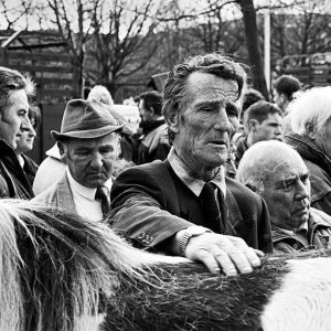 Smithfield Horse Fair #4 | Limited Edition | Patrick Donald