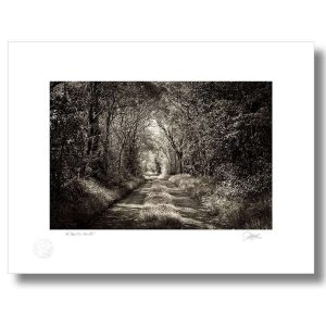 ‘The Road Less Travelled’ |  Signature Print | Patrick Donald