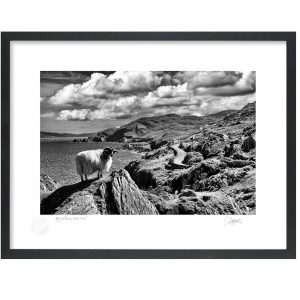 Ring of Berra, West Cork | Framed Print | Patrick Donald