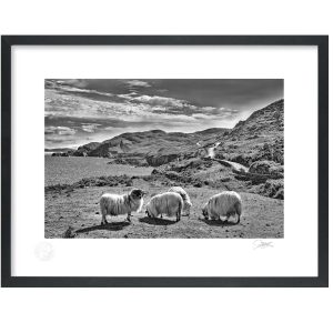 Ring of Beara Peninsula | Signature Print | Patrick Donald