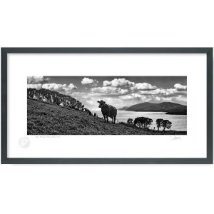 Beara Peninsula, Dursey Island, West Cork | Signature Print | Patrick Donald
