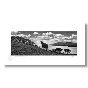 Beara Peninsula, Dursey Island, West Cork | Signature Print | Patrick Donald