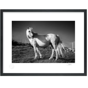 Don’t Look Back in Anger | Patrick Donald Don’t Look Back in Anger | Patrick Donald