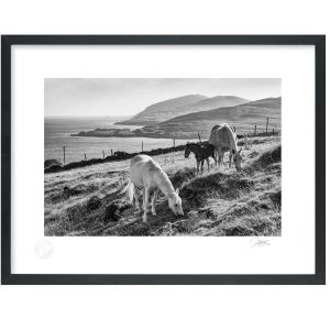 Towards Dursey Island, West Cork | Signature Print | Patrick Donald