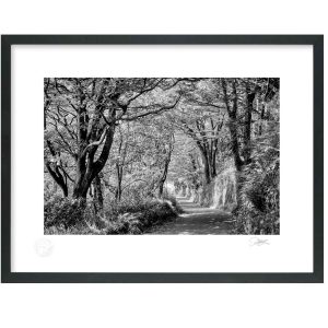 Scilly Walkway, Kinsale, Cork | Signature Print | Patrick Donald