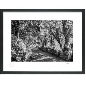 Sandycove Drive, Kinsale | Signature Print | Patrick Donald