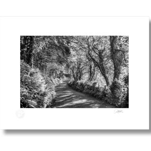 Sandycove Drive, Kinsale | Signature Print | Patrick Donald