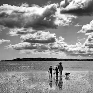 One Fine Day | Limited Edition | Patrick Donald