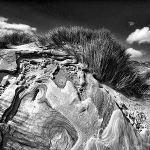 Wild Atlantic Shapes | Signed Original | Patrick Donald