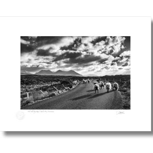 The Old Bog Road, Connemara, Co Galway | Signature Print | Patrick Donald The Old Bog Road, Connemara, Co Galway | Signature Print | Patrick Donald