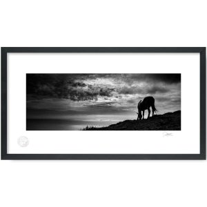 Black Beauty, Connemara Scene | Framed Photograph | Patrick Donald