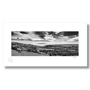 Dolan Connemara, Galway | Signature Print | Patrick Donald