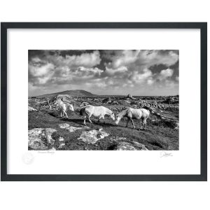 Connemara Dreaming | Signature Print | Patrick Donald
