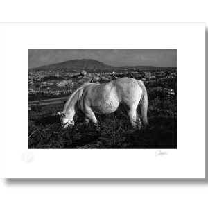 Wild Heart of The West | Signature Print | Patrick Donald Wild Heart of The West | Signature Print | Patrick Donald