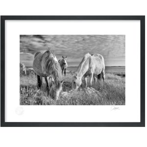 Essence of Connemara | Photograph | Patrick Donald