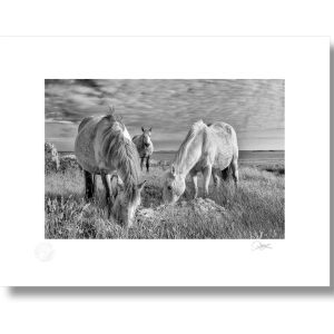 Essence of Connemara | Photograph | Patrick Donald