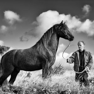 Roundstone Horse, Connemara | Limited Edition | Patrick Donald Roundstone Horse, Connemara | Limited Edition | Patrick Donald