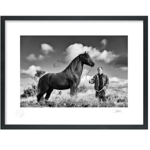 Roundstone Horse, Connemara | Limited Edition | Patrick Donald Roundstone Horse, Connemara | Limited Edition | Patrick Donald