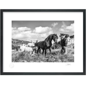 Roundstone Pony Show | Signature Print | Patrick Donald