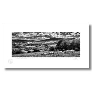 Down by Mount Brandon | Photograph | Patrick Donald