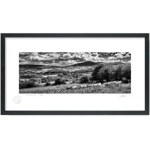 Down by Mount Brandon | Photograph | Patrick Donald