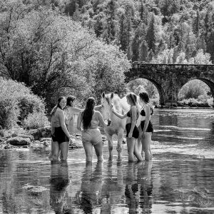 Summertime | Limited Edition | Patrick Donald