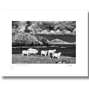 Horse Island, Ballinskelligs Bay, Co Kerry | Signature Print | Patrick Donald