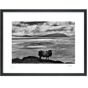 Ballinskelligs Black Sheep | Signature Print | Patrick Donald