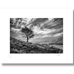 The Black Valley, Co Kerry | Signature Print | Patrick Donald