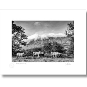 Benbulben Mountain, Co Sligo | Photograph | Patrick Donald