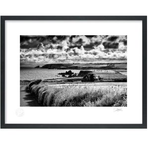 Copper Coast Drive, Waterford | Signature Print | Patrick Donald