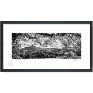 Sugar Loaf, Powerscourt, Wicklow | Patrick Donald