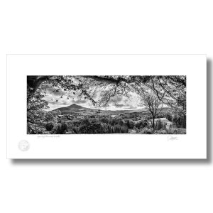 Sugar Loaf, Powerscourt, Wicklow | Patrick Donald