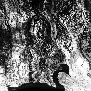 Water Works | Limited Edition | Patrick Donald