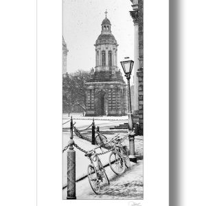 Trinity College Campanile | Signature Print | Patrick Donald