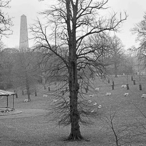 Phoenix Park Bandstand Dublin 1997 | Limited Edition | Patrick Donald