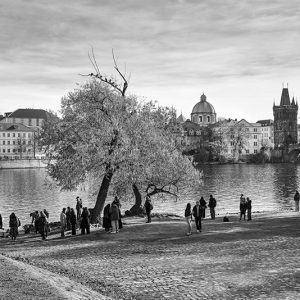 Along the Vitava River | Limited Edition | Patrick Donald Along the Vitava River | Limited Edition | Patrick Donald