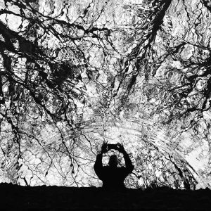 Ripples of Love and Appreciation of Nature | Patrick Donald